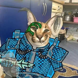 🐱