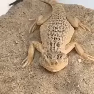 😁