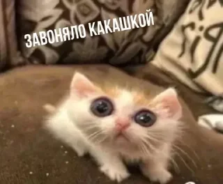 😤