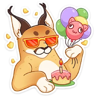 😼