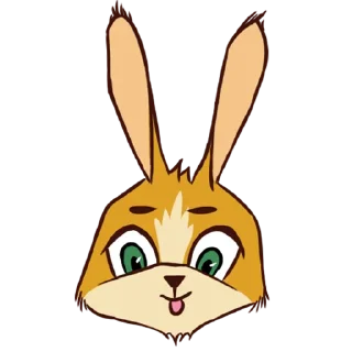 Bunny