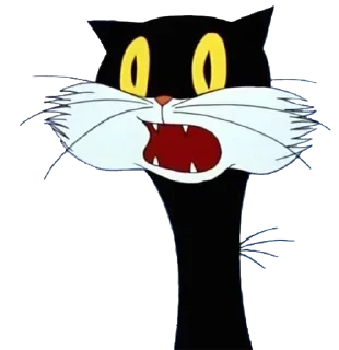 🙀