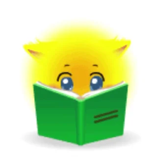 🌟