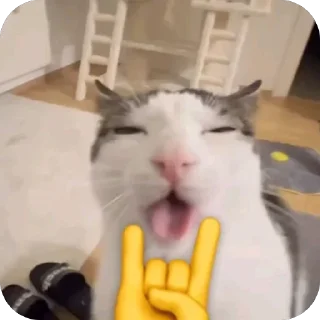 🤘