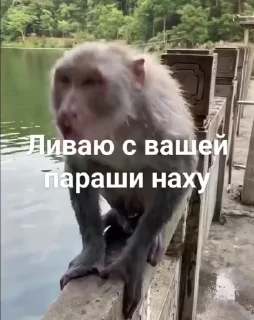 😈