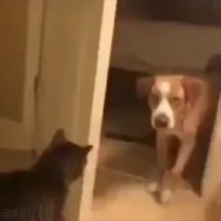 😕
