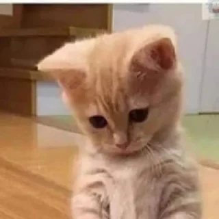 😞