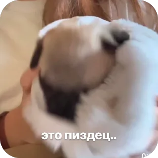 🫥
