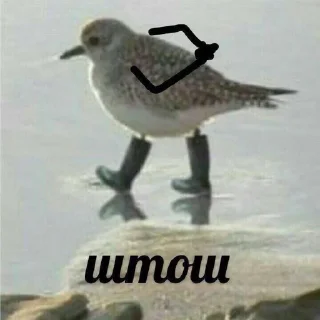 🥺