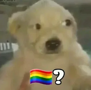 🏳️‍🌈