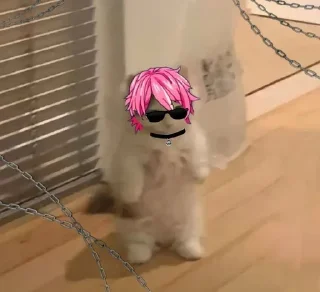 😎