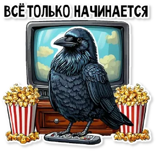 📺