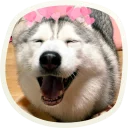 😄