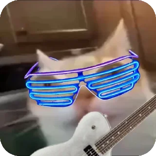 🎸