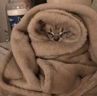🥶