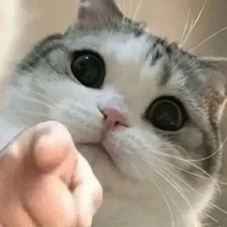 😕