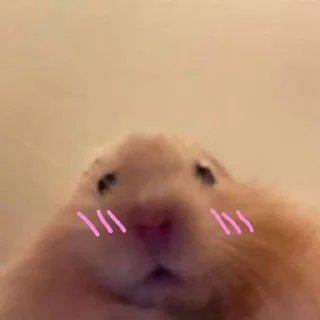 💫