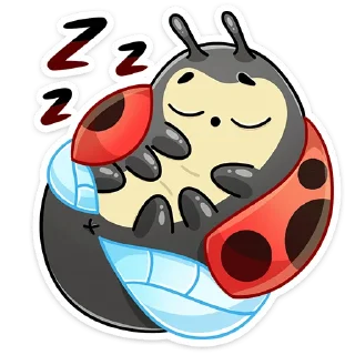 😴