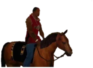 🐎