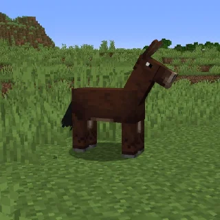 🐴