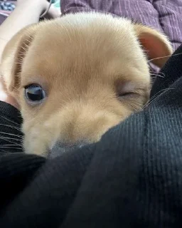 😉