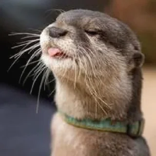 😛