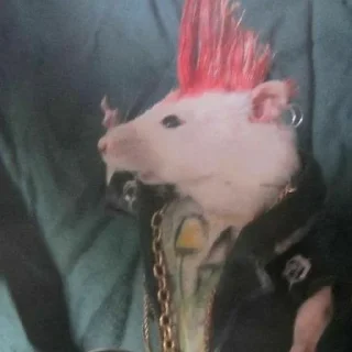 🤘