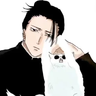 🐈