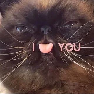 ❤️