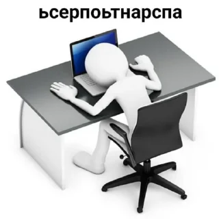 💻