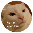😾
