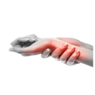 ✋