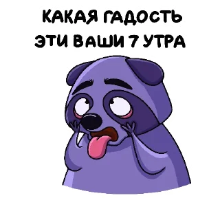 😴