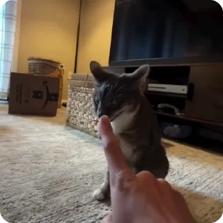 🆒