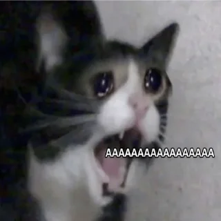 😭