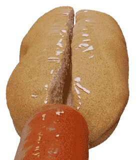 🌭