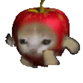 🐈