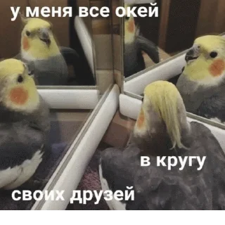 🤝
