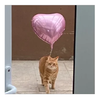 ❤