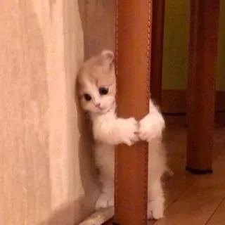 😳