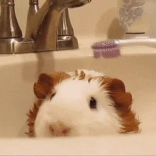 🛀