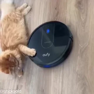😂