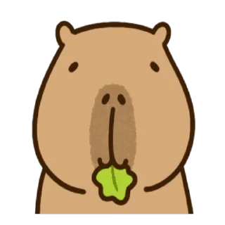 🌱
