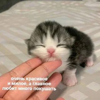 💖
