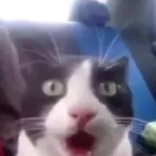 😮