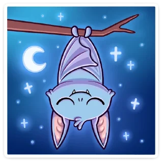 😴