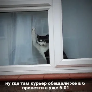 😑