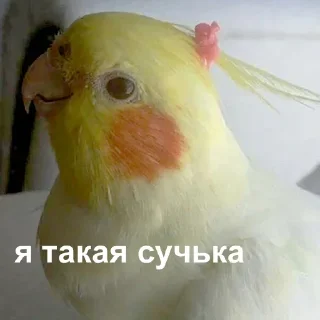 😚
