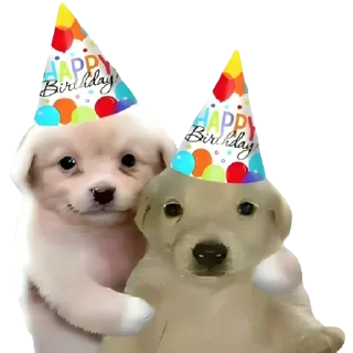 🥳