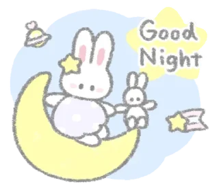 🐰
